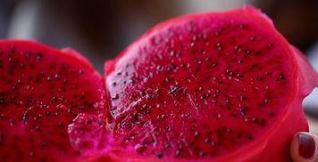 日韩美少女涂火龙果视频