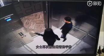 日韩性视频长篇