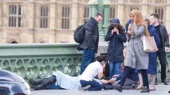 能看亚洲拳脚视频,亚洲拳脚技艺大赏