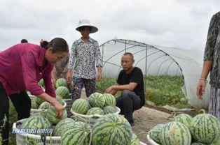 绵阳网红吃瓜事件