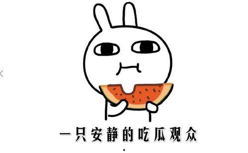 盘点吃瓜抖音网红,揭秘幕后故事与热门话题